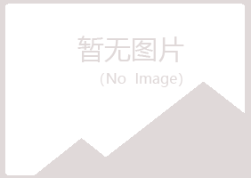 玉门夏岚金属有限公司